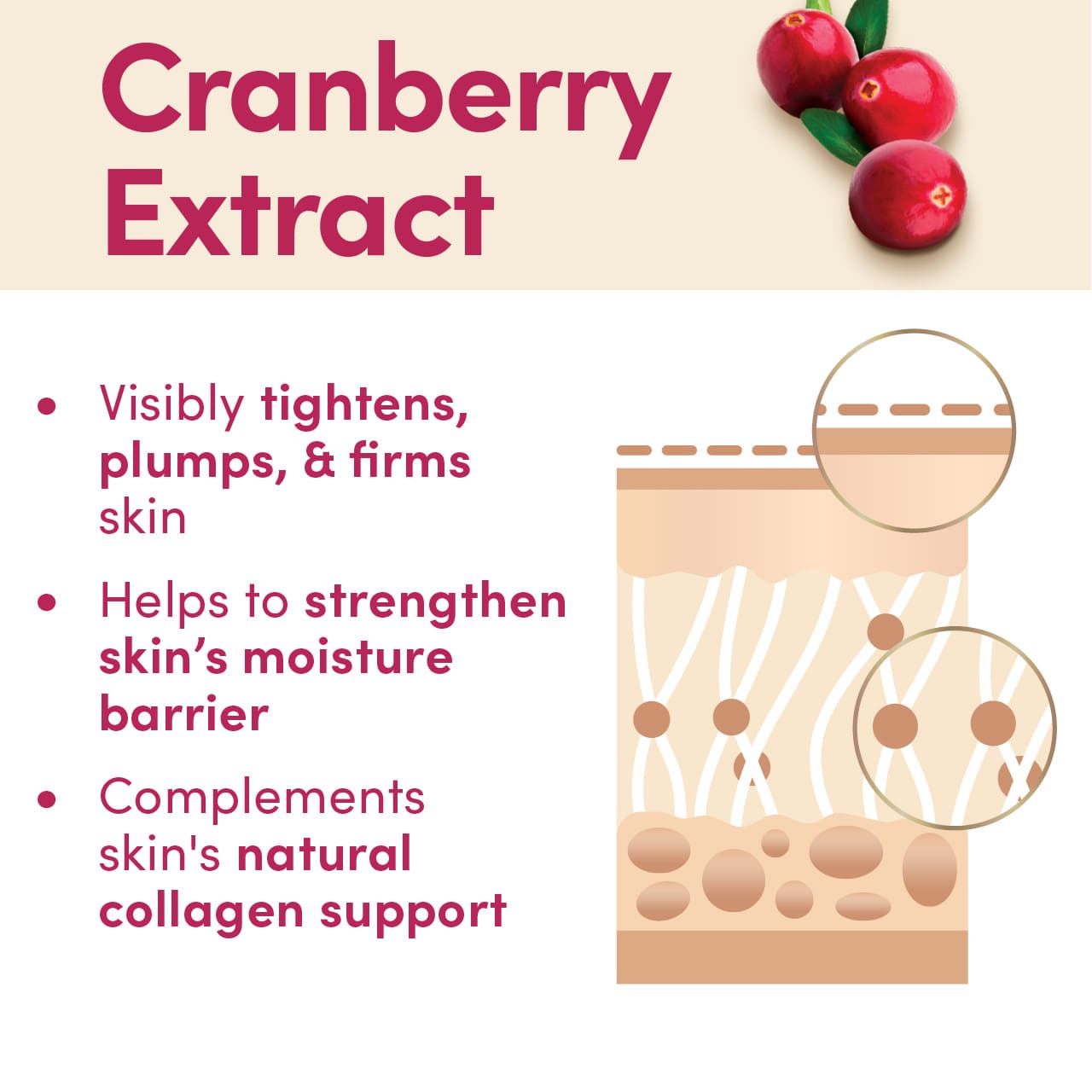 Skin benefits of cranberry extract as an ingredient