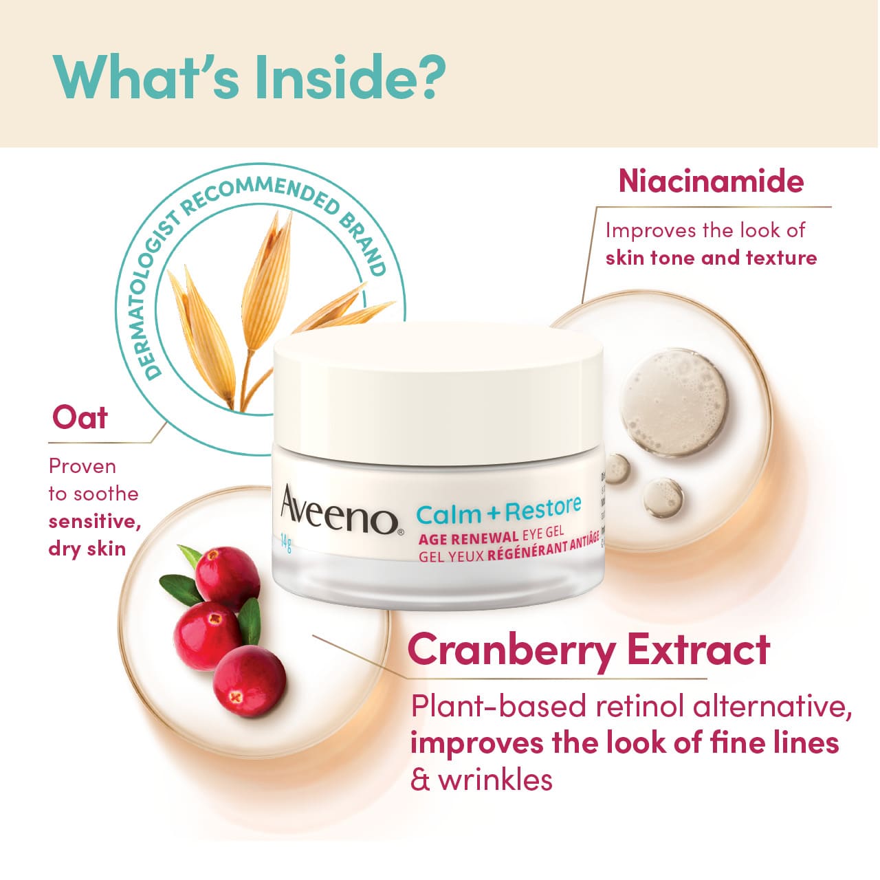 AVEENO® Calm + Restore Age Renewal Eye Gel, glass jar 14 g with ingredients; oat, niacinamide, cranberry extract and their benefits.