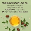 Aveeno Daily Moisturizing Oil Mist Ingredients: A Bowl of Oat and Jojoba Oil