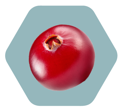 蔓越莓係Aveeno Calm + Restore Age Renewal系列嘅關鍵成分，以其植物性视黃醇替代特性而聞名。